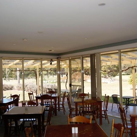 Civic Motor Inn Cowra Exteriér fotografie